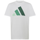 WHITE/CLEMIN/COUGRN/C
